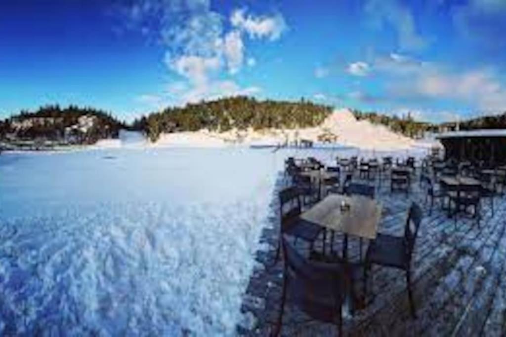 T2 Pour 4 Pers Style Chalet Pied Des Pistes Bolquere Pyrenees 2000 Eksteriør bilde