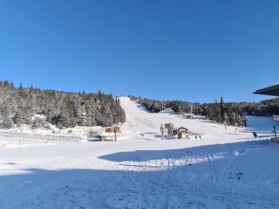 T2 Pour 4 Pers Style Chalet Pied Des Pistes Bolquere Pyrenees 2000 Eksteriør bilde